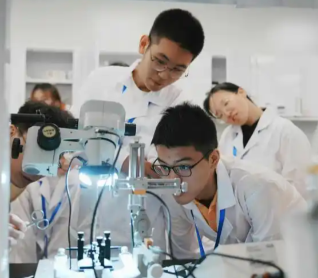 构建起网络讲堂区域教研的数字教育新生