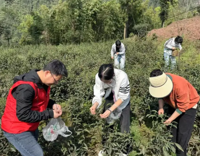 劳动教育依然是大学生成长路上不可或缺
