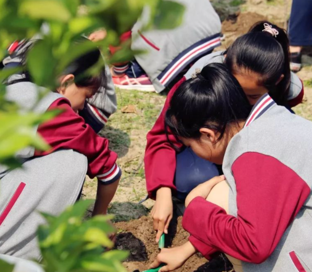 教研同步继续拓宽学子升学渠道助力广阔
