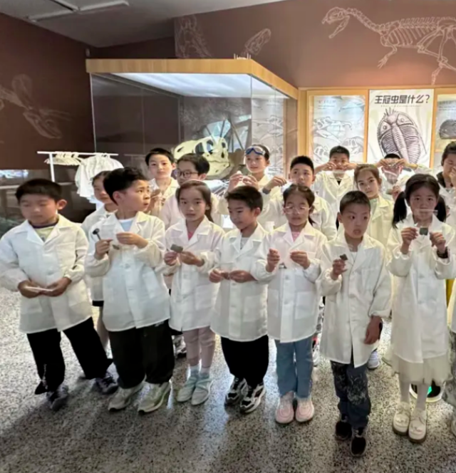 博物馆等社会场馆被整合成科普矩阵直接